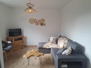 a living room with a blue couch and a tv at La maison d'à côté in Desingy
