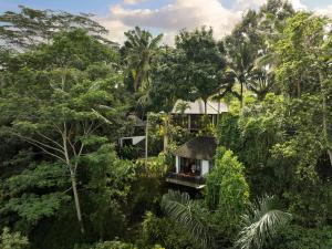a house in the middle of the forest at Villa Leona Ubud in Ubud