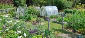 a garden with many different types of flowers at Okuti Country Cottage, a private and peaceful retreat in Little River