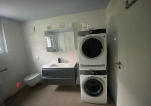 a bathroom with a washing machine and a sink at The R Apartment Adlisberg in Geroldswil +10 photos
