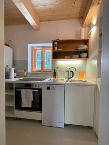 een keuken met een fornuis en een spoelbak bij Alte Mühle Kaisersdorf in Kaisersdorf