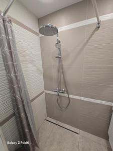a shower with a shower head in a bathroom at Diljanka 4 in Pernik