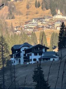 Naturlandskabet i nærheden af lejligheden