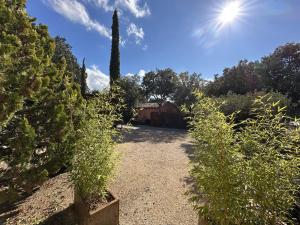 a garden with a pathway with trees and the sun at Les Tournillayres in Bédoin