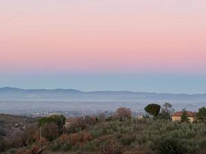 een uitzicht op een heuvel met bomen en een stad bij Casa di Stella in Montepulciano +10 foto's