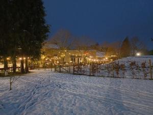a yard covered in snow at night with lights at Mont-des-Pins in Durbuy
