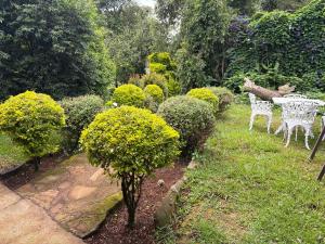 a garden with white chairs and a table and bushes at Whinstone Farm in Greytown