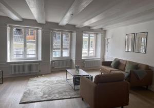 a living room with a couch and a table at The R Apartment Bodensee - Old Town in Schaffhausen