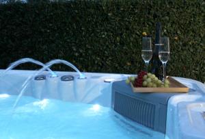 a tray of grapes and wine glasses in a swimming pool at Casa Rinata in Novigrad Istria