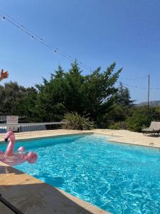 a swimming pool with a pink flamingo in the water at Les Tournillayres in Bédoin