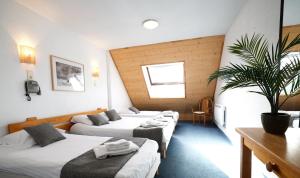 een hotelkamer met 2 bedden en een potplant bij Le Balcon des Ecrins in Réallon