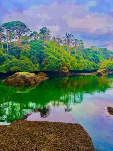 vista su un fiume con alberi sullo sfondo di 4 Market Street a Bantry
