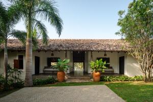 a white house with palm trees in front of it at Mimosa Hill in Hiriketiya