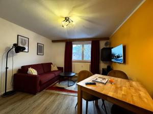 TV a/nebo společenská místnost v ubytování Apartment M - Zell am See