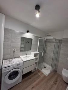 a bathroom with a washing machine and a shower at Appartement à Cala Rossa in Lecci