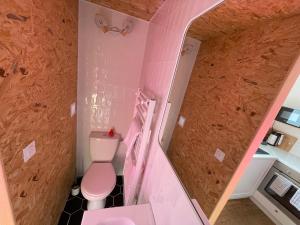 een roze badkamer met een toilet en een trap bij Maison Yuki - Bleu Alpin - Netflix & Parking gratuit in Le Mont-Dore +8 foto's