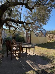 ein Picknicktisch und eine Bank unter einem Baum in der Unterkunft Suite con Burbuja in Canyelles + 11 Fotos