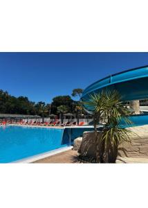 a pool with chairs and a palm tree next to it at Chalet KABANA in Saint-Hilaire-de-Riez
