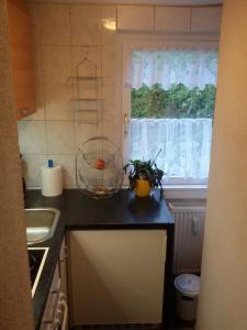 um balcão de cozinha com um lavatório e uma janela em Ferienwohnung Mey em Rathmannsdorf