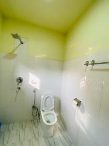 a bathroom with a toilet and a shower at Annapurna View Lodge in Chitwan
