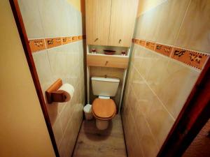 a small bathroom with a toilet and a sink at Le Cozy in Aragnouet