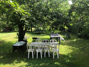 a group of tables and chairs under a tree at Chelles - Paris - Disneyland Marne la vallée in Chelles