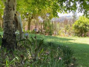 a tree in a field with flowers next to a tree at Magents the Farm in Paarl +5 photos