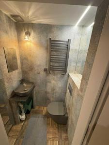 a small bathroom with a sink and a toilet at Agrobiskupin Kaczmarek 2 in Gąsawa