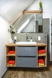 een badkamer met een wastafel en een spiegel bij Ahrenshof 7 in Bad Zwischenahn +16 foto's