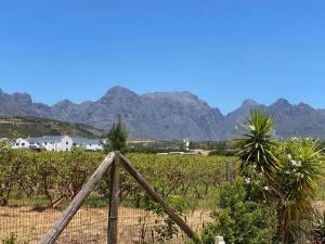 a fence in a vineyard with mountains in the background at Magents the Farm in Paarl