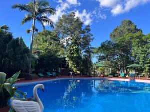 a swimming pool at a resort with a swan in the middle at Cabañas Rincón Andaluz in Puerto Iguazú