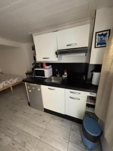een kleine keuken met een spoelbak en een magnetron bij Studio agréable et paisible in Aubagne
