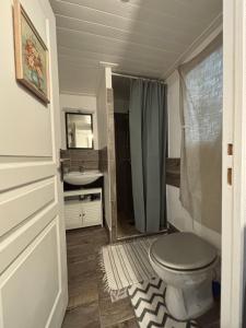 een badkamer met toilet en wastafel bij Studio agréable et paisible in Aubagne