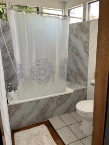 bagno con tenda per la doccia e servizi igienici di Aldea Bahiguana a Bahia Inglesa