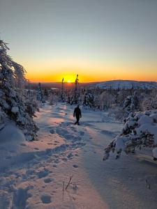 Isokelo Log Apartments tokom zime