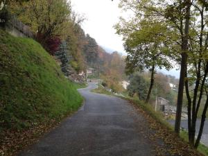 uma estrada sinuosa com árvores no lado de uma colina em Locanda Spada Reale em Frassino