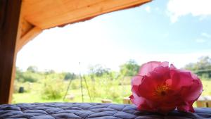 a pink flower sitting on top of a bed at Shelter i sansehave in Præstø
