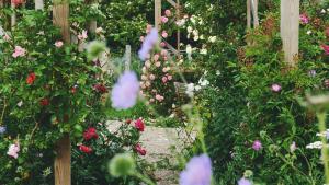a garden with flowers and a wooden fence at Shelter i sansehave in Præstø