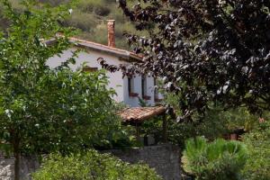 a white house with a window and trees in front of it at Riojania Traditio Mountain in Munilla