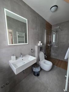 a bathroom with a sink and a toilet and a mirror at Villa Roko - Gacka Valley in Ličko Lešće +35 photos