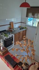 a kitchen with a stove and a table with a plant at posada acevedo in Acevedo