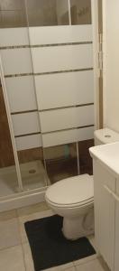 a white bathroom with a toilet and a shower at studio stella in Sospel +16 photos