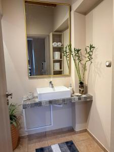 a bathroom with a sink and a mirror at Κτήμα Παππά Ρετιρέ in Livadeia