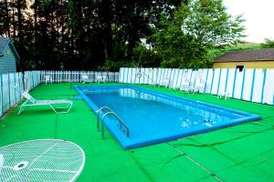 ウィリアムズタウンにあるWillows Motelの緑の床の小さなプール