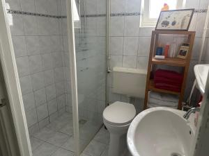 a bathroom with a shower and a toilet and a sink at Vakantiewoning Het leeft in je in Hengelo