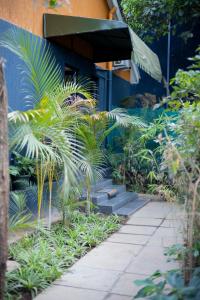 a garden with a bunch of plants next to a building at Tales Luxury in Kampala