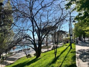 Gallery image of Catedrala Blue in Constanţa
