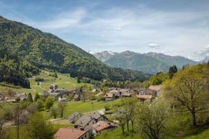 a village in a valley with mountains in the background at Albergo Diffuso Ravascletto in Ravascletto