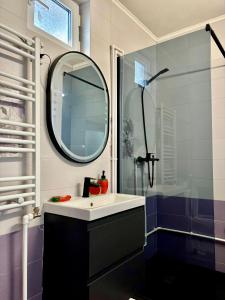 a bathroom with a sink and a mirror at Casa Fraga in Beiuş