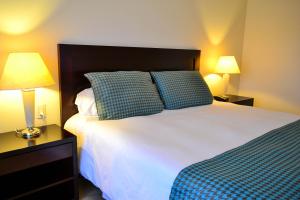 een slaapkamer met een groot bed met twee lampen bij Hotel Quinto Elemento in Villa Elisa +27 foto's